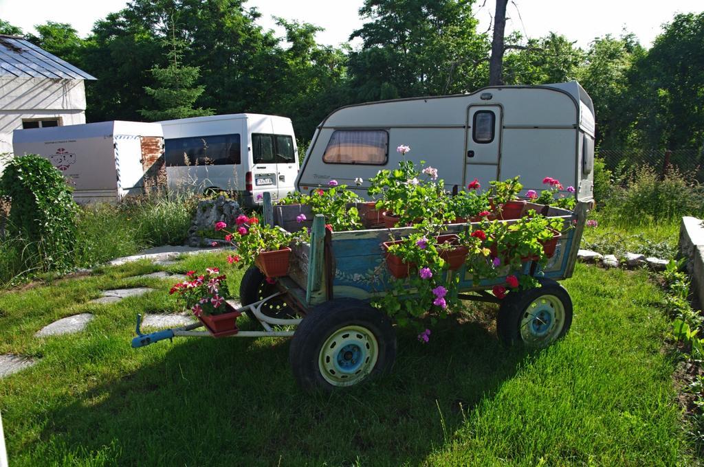 Camping Verila 사파레바바냐 외부 사진