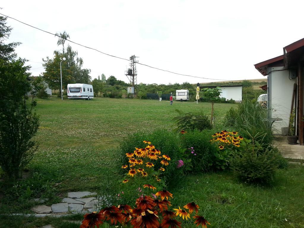 Camping Verila 사파레바바냐 외부 사진
