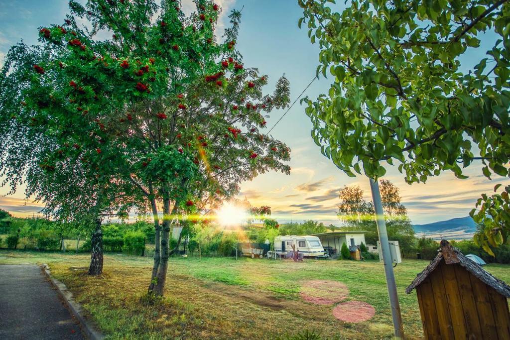 Camping Verila 사파레바바냐 외부 사진